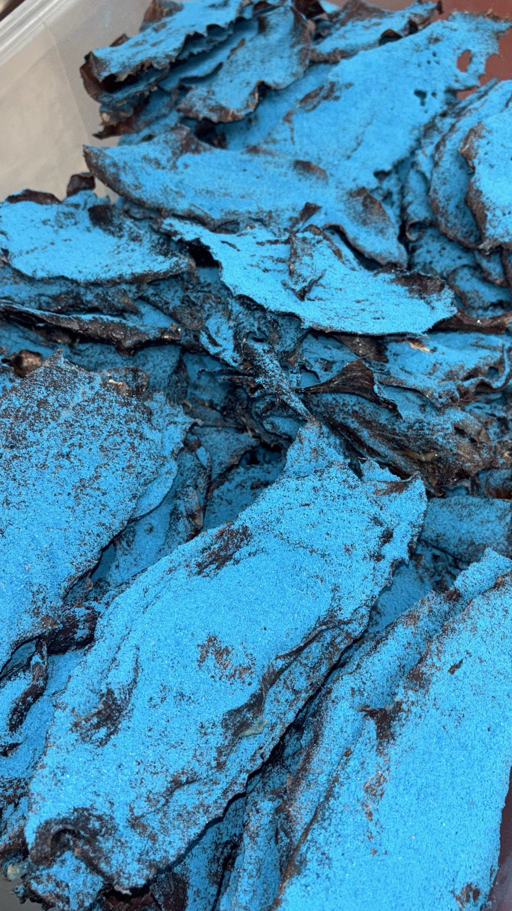 Spicy Blue